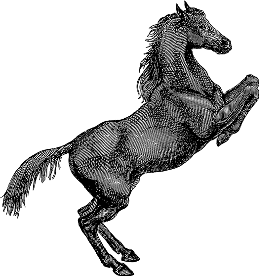 斗鱼直播
